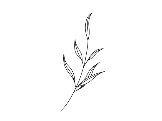 line thin leaf