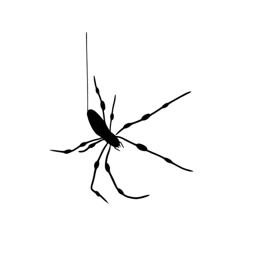 spider 2