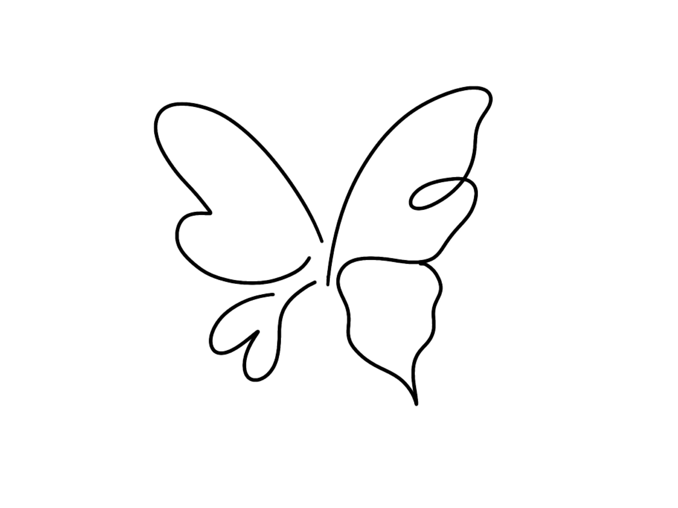 879 Butterfly Line Drawing Stock Photos, High-Res Pictures, and Images -  Getty Images